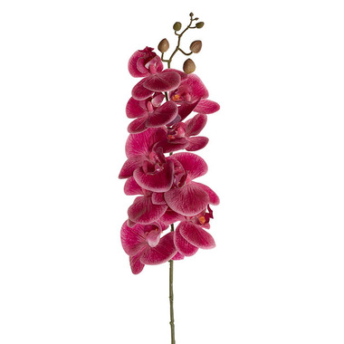 Artificial Orchids - Real Touch 9 Head Phalaenopsis Orchid Dark Fuchsia (81cmH)