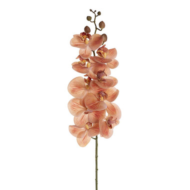 Artificial Orchids - Real Touch 9 Head Phalaenopsis Orchid Stem Vermillion(81cmH)