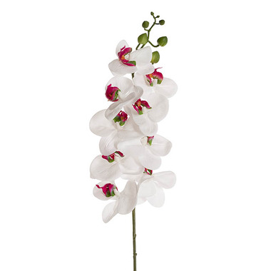 Artificial Orchids - Real Touch 9 Head Phalaenopsis Orchid Stem White (81cmH)