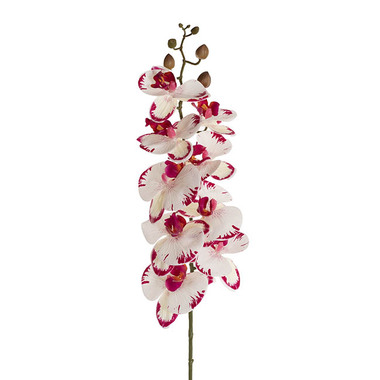 Artificial Orchids - Real Touch 9 Head Phalaenopsis Orchid White Fuchsia (81cmH)