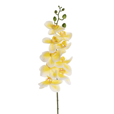 Artificial Orchids - Real Touch 9 Head Phalaenopsis Orchid Stem Yellow (81cmH)
