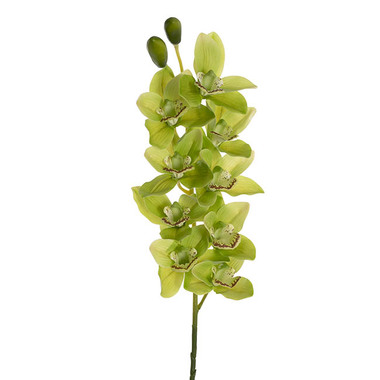 Artificial Orchids - Real Touch 9 Head Cymbidium Orchid Soft Green (76cmH)