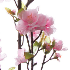 Peach Blossom Spray Pink (125cm)