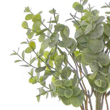 Eucalyptus Mini Leaf Bouquet x6 Green Grey (35cmH)