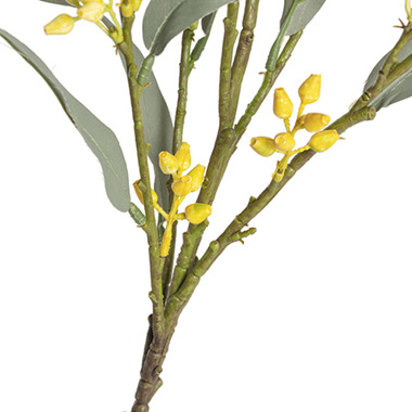 Eucalyptus Bud Spray Yellow (78cmH)