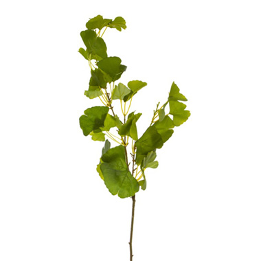 Artificial Leaves - Artificial Ginkgo Leaf Spray Green (94cmH)