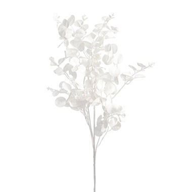 Artificial Dried Leaves - Eucalyptus Dollar Gum Spray White (80cmH)
