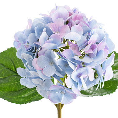 Annabelle Hydrangea Stem Soft Blue Purple (19cmDx55cmH)