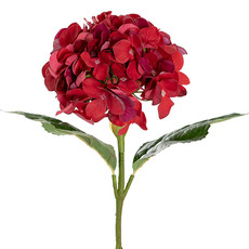 Real Touch Hydrangeas - Annabelle Hydrangea Stem Dark Red (19cmDx55cmH)
