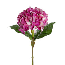 Real Touch Hydrangeas - Annabelle Hydrangea Stem Fuchsia (19cmDx55cmH)
