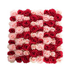 Flower Walls - Rose Flower Wall Mixed Pink & Red (50cmx50cm)
