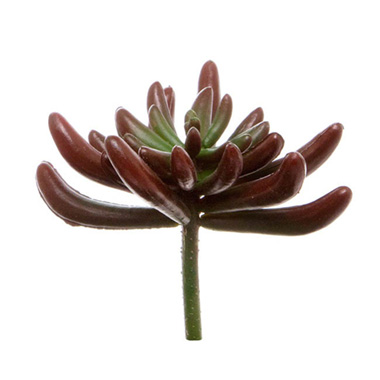 Artificial Succulents - Artificial Succulent Claw Red (12cmDx13cmH)
