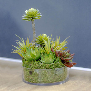 Artificial Succulent Florette Green (27cmH)