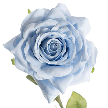 Large Colombian Rose Stem Soft Blue (20cmDx86cmH)