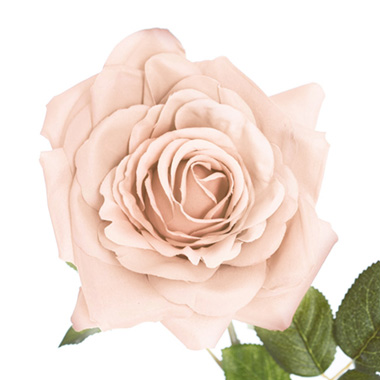  - Large Colombian Rose Stem Nude (20cmDx86cmH)