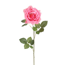 Large Colombian Rose Stem Soft Pink (20cmDx86cmH)