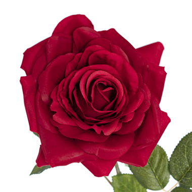Large Colombian Rose Stem Red (20cmDx86cmH)