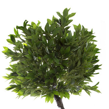 Artificial Topiary Tree Laurel Leaf Potted Green (160cmH)