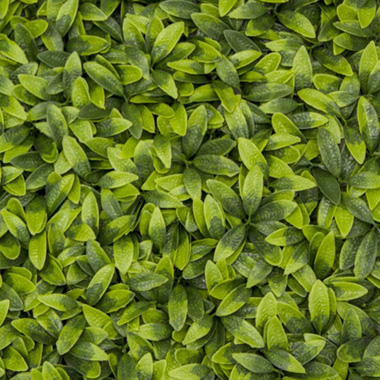 Artificial Laurel Leaf Wall Green (50x50cm)