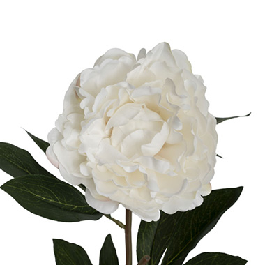 Artificial Peonies - Real Touch Peony Stem Off White (15cmDx68cmH)