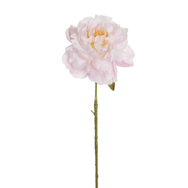 Artificial Peonies - Single Stem Peony Soft Pink (13cmDx67cmH)
