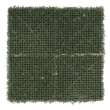 Greenery Wall UV Treated Boxwood Peanut Grass Green (1Mx1M)