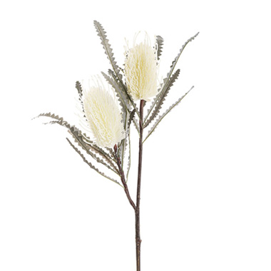 Australian & Native Flowers - Real Touch Australian Banksia x 2 Head Spray Cream (80cmH)