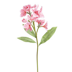 Artificial Tropical Flowers - Frangipani Spray x4 Soft Pink (68cmH)