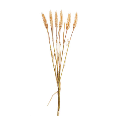 Artificial Dried Leaves - Wheat Spray Bunch 6 Head Dusty Orange (57cmH)