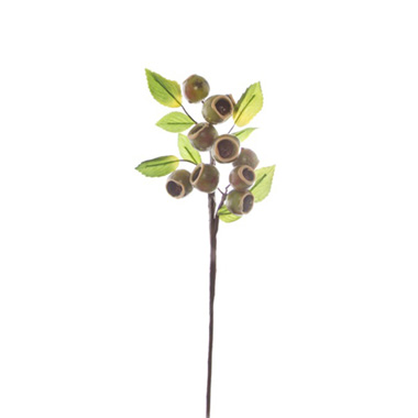 Australian & Native Flowers - Gumnut Spray Large x10 Green Brown (38cmH)