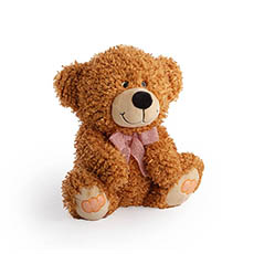 Teddytime Teddy Bears - Cooper Bear with Candy on the Feet Brown (26cmST)