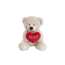 Adorable Bear With Xoxo Heart White (21cmST)