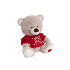 Valentines Teddy Bears - Cute Baby Bear With T-Shirt Grey (21cmST)