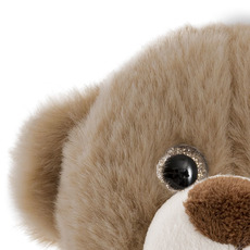 Teddy Bear Harry Grey (20cmST)