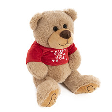 Valentines Day Soft Toys - Riley Bear with T-Shirt Brown (25cmST)