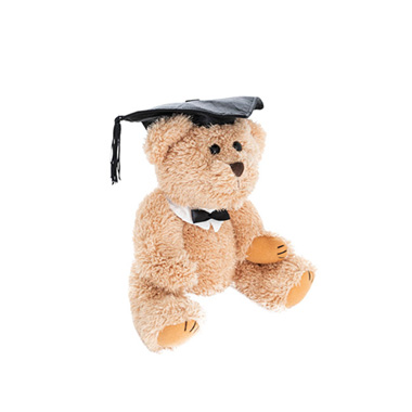 Graduation Teddy Bear William Jointed Brown (20cmHT)