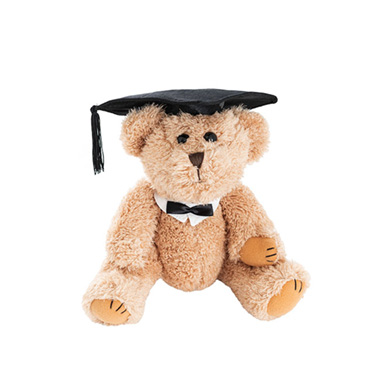 Graduation Teddy Bear William Jointed Brown (20cmHT)