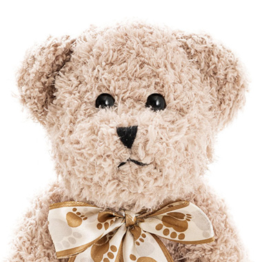 Teddy Bear William Jointed Brown (20cmHT)