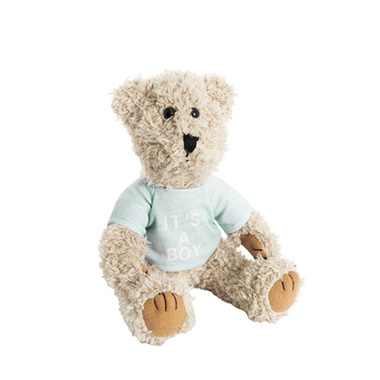 Personalised Teddy Bears - Teddy Bear Message Its a Boy Blue T Shirt (20cmHT)