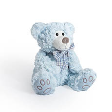 Teddytime Teddy Bears - Luke Teddy Bear Baby Blue (25cmH)