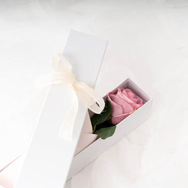 Matte Rose Box Single Deep Lid White (71x8x7cmH)