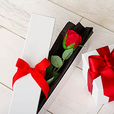 Ribbon Glossy Rose Box Single White (71x8x7cmH)