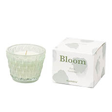 Scented Candle Jars & Containers - Scented Candle Bloom Cameo Green Forest Gardenia (7.5x6cmH)