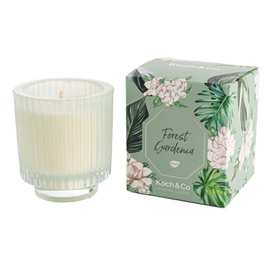 Scented Candle Jars & Containers - Scented Candle Bloom II Forest Gardenia 150g (7.8x8.5cmH)