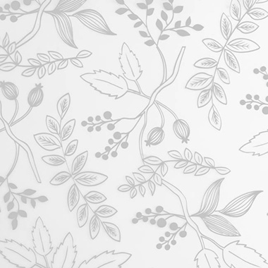 Cello Frosted Hand Drawn Leaves 40mic White(50x70cm)Pack 100