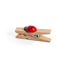 Decorative Pegs - Wooden Peg with Ladybug Red (35mm) Pack 12