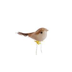Bird Mini Assorted Natural Colour (7cmD) Pack 24