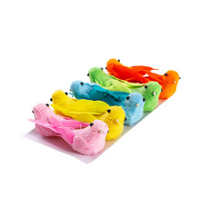 Bird Large Assorted Colour (9cmD) Pack 10
