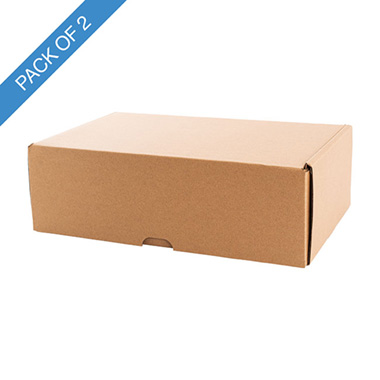 Wine Gift Boxes - Premium Wine Mailing Box Double Pack 2 (35Lx20Wx11Hcm)