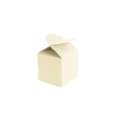 Wedding Favour Boxes - Bomboniere Modern Box Pearl Cream Pack 20 (45x45x55mmH)